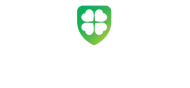 American hospital